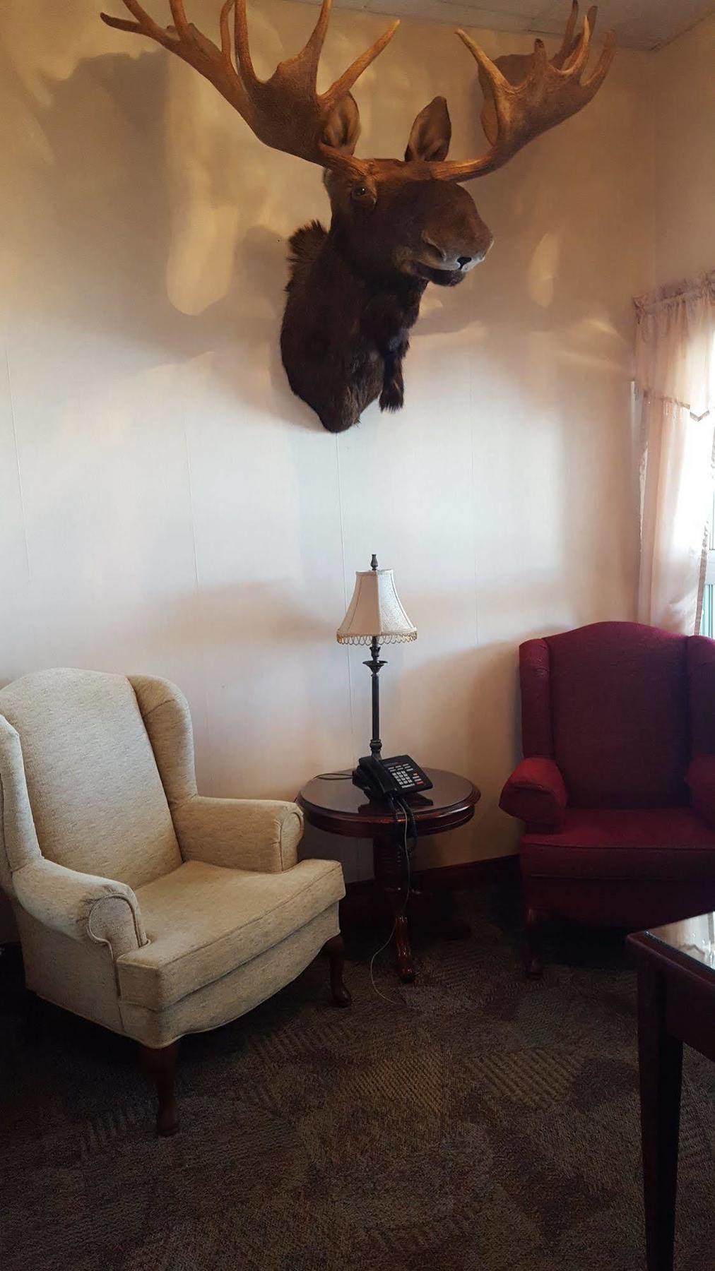 Hotel Port Aux Basques Kültér fotó